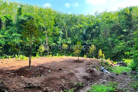 Dijual Kebun Durian 1018m² 200 Juta di Kerjo Karanganyar