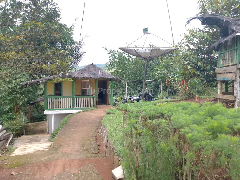 Dijual Tanah Kebun Strategis dan Produktif Pinggir Jalan Tasikmalaya
