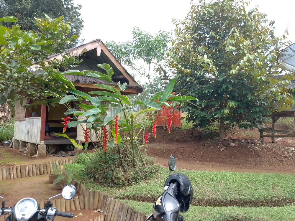 Dijual Tanah Kebun Strategis dan Produktif Pinggir Jalan Tasikmalaya
