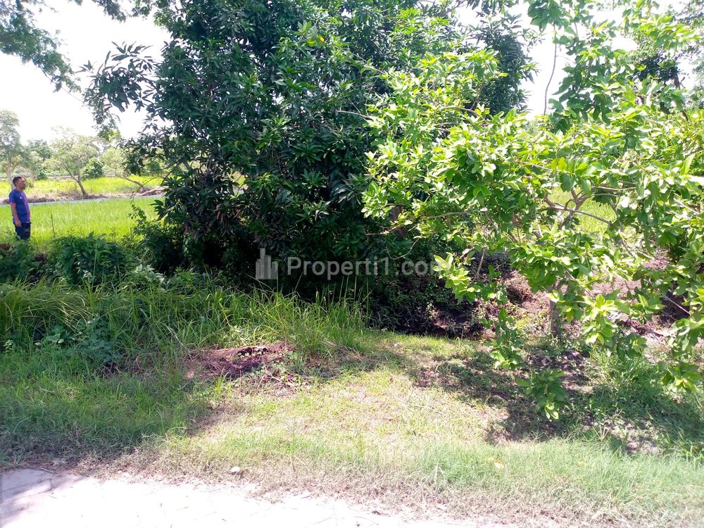 Dijual Tanah Luas 415m2 di Desa Kebet, Lamongan