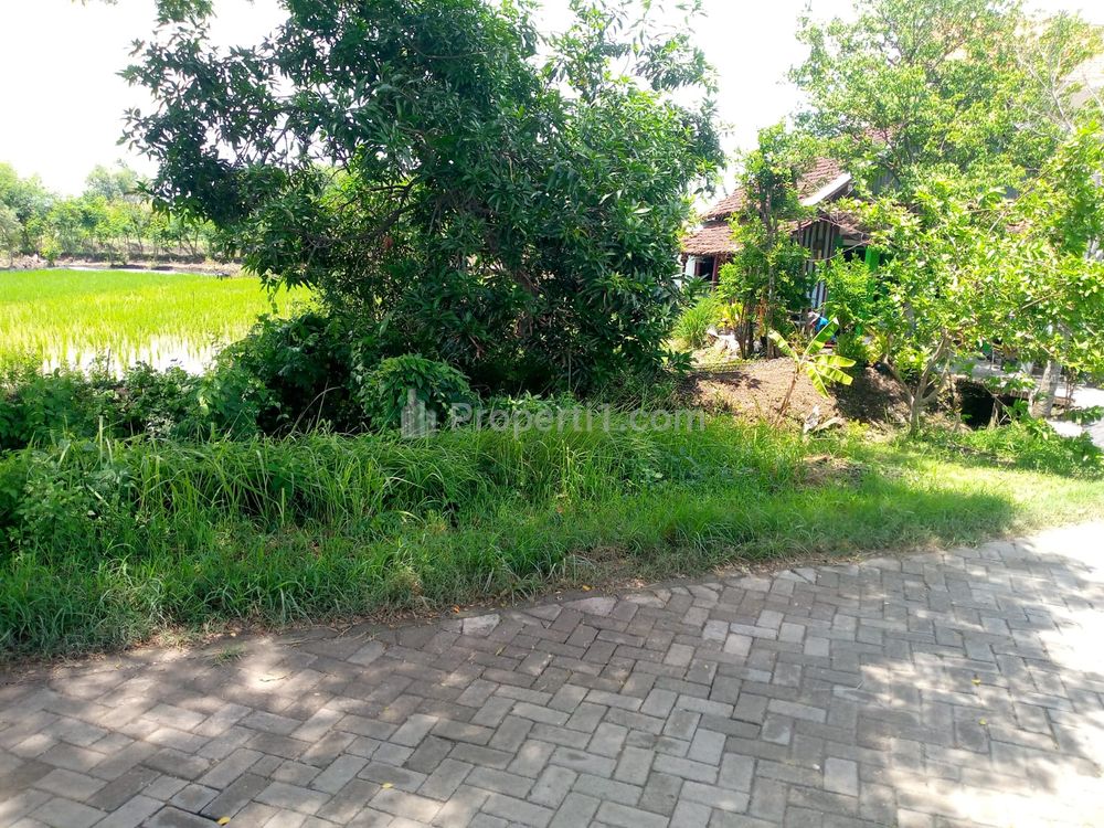 Dijual Tanah Luas 415m2 di Desa Kebet, Lamongan