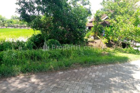 Dijual Tanah Luas 415m2 di Desa Kebet, Lamongan