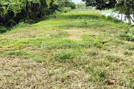 Jual Tanah 930 m2 di Balerejo Madiun Dekat SMP Negeri 1 Balerejo, Polsek Balerejo, Gerbang Tol Madiun, Pasar Kajang, Terminal Kota Madiun