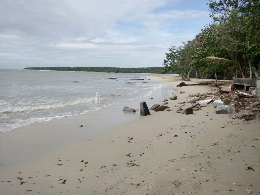 Jual Tanah AJB Murah 300 Hektar di Tepi Pantai Tanjung Lesung, Panimbang, Pandeglang, Banten