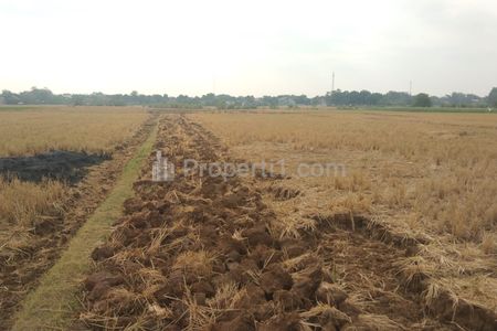 Dijual Tanah Kavling Strategis Pinggir Jalan Dekat Stasiun Haurgeulis Indramayu