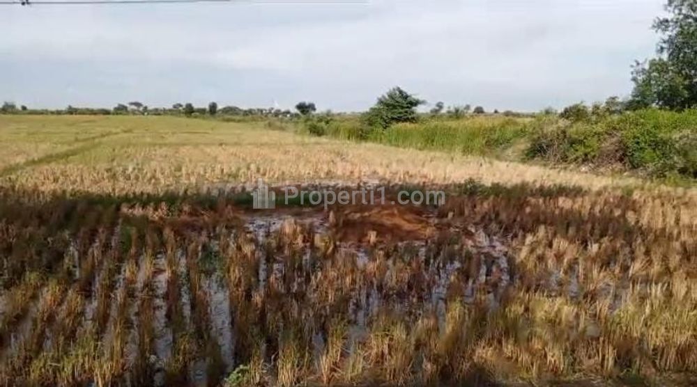 Dijual Tanah untuk Industri dan Gudang di Pinggir Jalan Raya Pantura Santing Losarang Indramayu