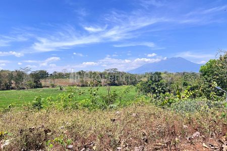 Jual Tanah 250 Juta View Sawah dan Gunung Lawu di Karanganyar