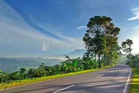 Jual Murah Tanah SHM Pinggir Jalan 75 Hektar di Cibadak, Sukabumi, Jawa Barat, Cocok Buat Agro Wisata, Pertanian, Perikanan