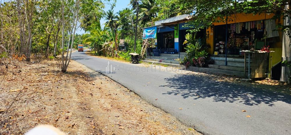 Jual Tanah Luas dan Murah di Temon, Kulonprogo, Hanya 15 Menitan dari Bandara YIA Kulonprogo, Dekat Banyak Tempat Wisata