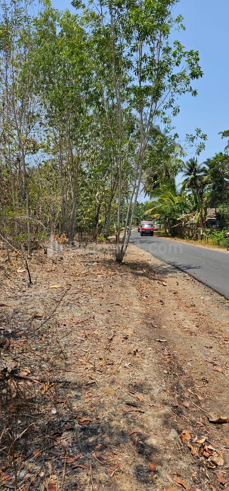 Jual Tanah Luas dan Murah di Temon, Kulonprogo, Hanya 15 Menitan dari Bandara YIA Kulonprogo, Dekat Banyak Tempat Wisata