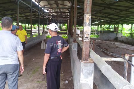 Jual Murah Bekas Peternakan Sapi, Sudah Ada Amdal, Surat SHM dan AJB, Luas Tanah 22 Hektar di Cariu Bogor