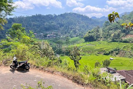 Dijual Tanah 3500m² View Hamparan Sawah di Ngargoyoso, Karanganyar 