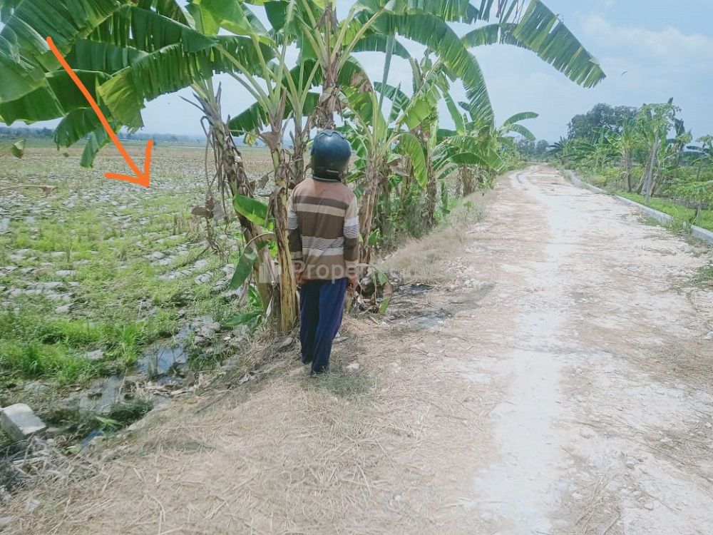 Jual Tanah 2.000 m2 di Bojonegoro Jawa Timur, Dekat RSUD Dr.Sosodoro, Terminal Rajekwesi, Alun-Aalun Bojonegoro, PEMDA Bojonegoro, UNIGORO