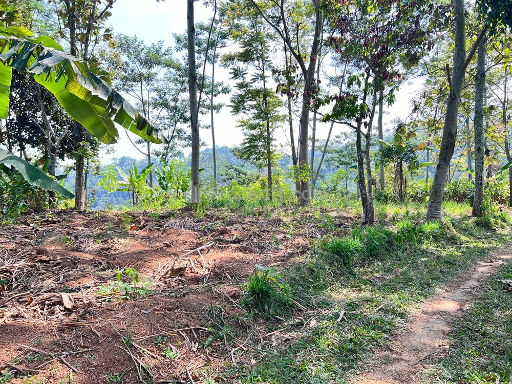 Jual Tanah 3300m² View Istimewa Gunung Lawu di Karanganyar