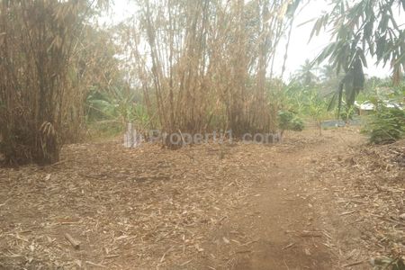 Jual Tanah untuk Bangun Kandang Dekat Jalan Propinsi Subang Cikamurang Desa Sanca Indramayu