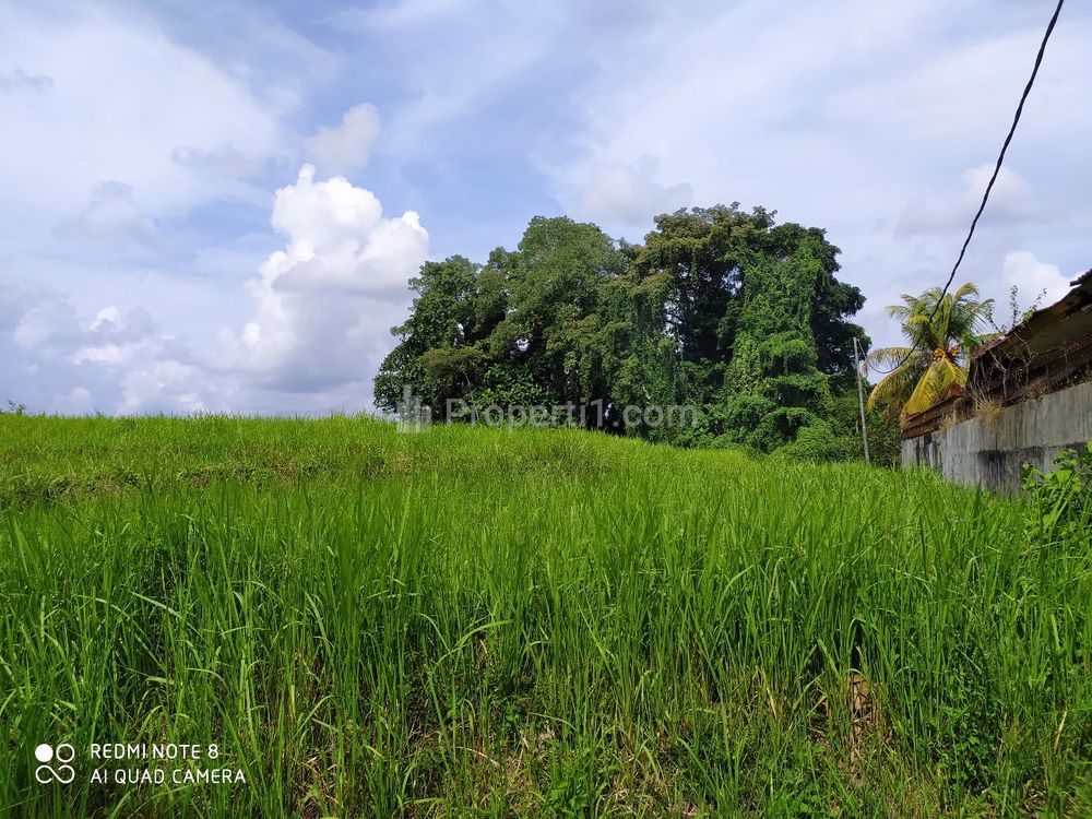 Disewakan Tanah 2825 m2 di Kaba-kaba Tabanan, Dekat Seseh, Munggu, Canggu, Bali