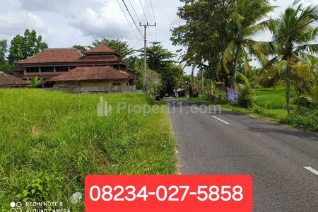 Disewakan Tanah 2825 m2 di Kaba-kaba Tabanan, Dekat Seseh, Munggu, Canggu, Bali