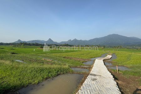 Jual Tanah Sawah di Bogor Timur, Dekat Jalan Provinsi Surat SHM 