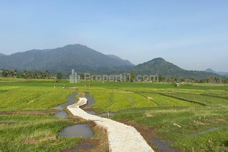 Jual Sawah Siap Tanam Surat SHM di Bogor 