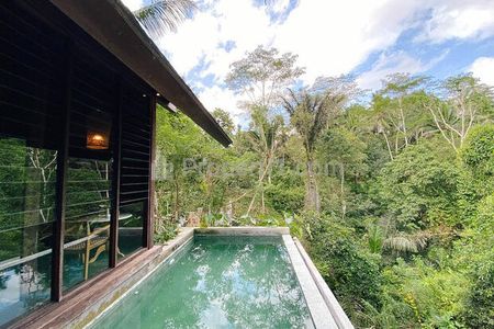 Dijual Rumah Private Villa Furnish dan Pool di Ubud Gianyar Bali