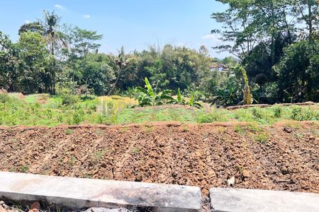 Jual Tanah 800m2 Cocok untuk Kebun Buah di Karangpandan, Karanganyar, Jawa Tengah