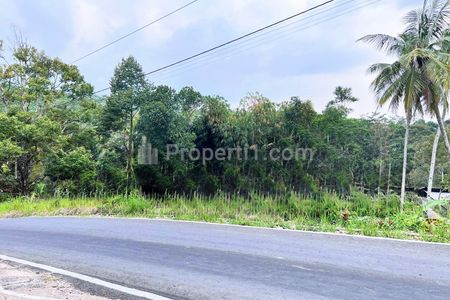 Jual Tanah 250 Juta Strategis Tepi Jl Raya Kerjo-Kemuning, Karanganyar, Jawa Tengah