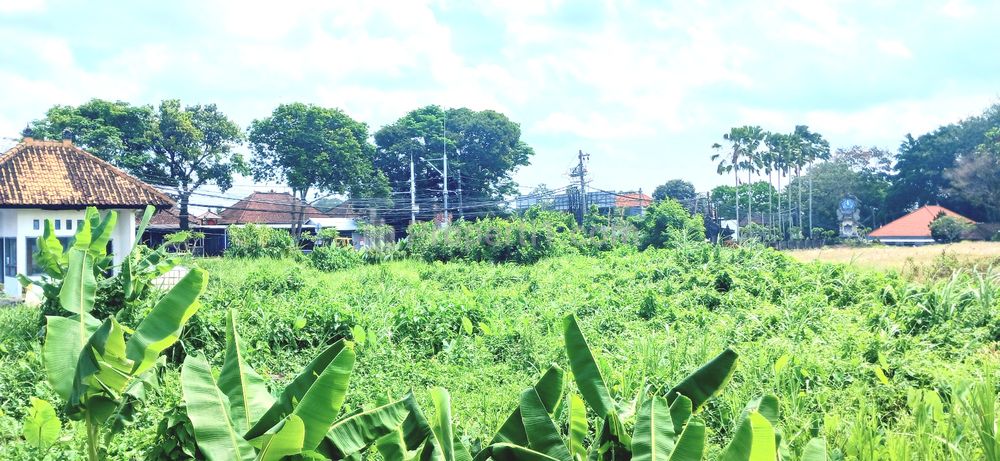 Jual Tanah Luas 1500 m2 di Mengwi Badung Bali Dekat Kota Tabanan