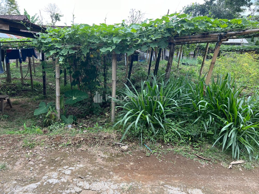 Dijual Tanah Kawasan Wisata Kemuning Karanganyar, Hanya 195 Juta