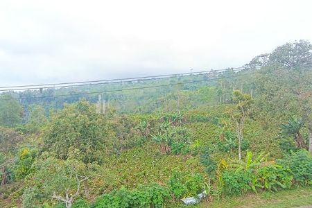 Jual Tanah Luas 8550 m2 View Danau Buyan di Wanagiri Sukasada Buleleng Bali