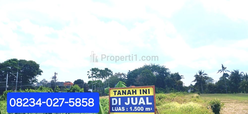 Jual Tanah Luas 1500 m2 di Mengwi Badung Bali Dekat Kota Tabanan