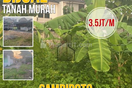 Dijual Segera Tanah di Sambiroto Semarang, Dekat Sekolah, Kampus, RS, dan Swalayan