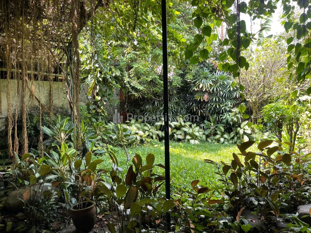 Jual Rumah Menteng Jakarta Pusat, Luas Tanah 735 Turun Harga