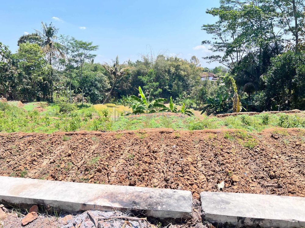 Jual Tanah Murah 250 Juta Karangpandan, Karanganyar