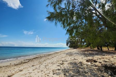 Dijual Tanah Komersial Luas 8000 m2 VIew Pantai di Sumba Timur, Nusa Tenggara Timur