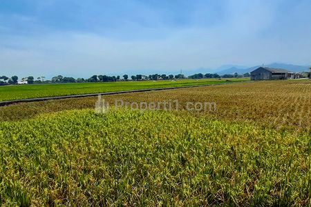 Jual Tanah untuk Perumahan dan Permukiman di Cikoneng Buah Batu Bandung