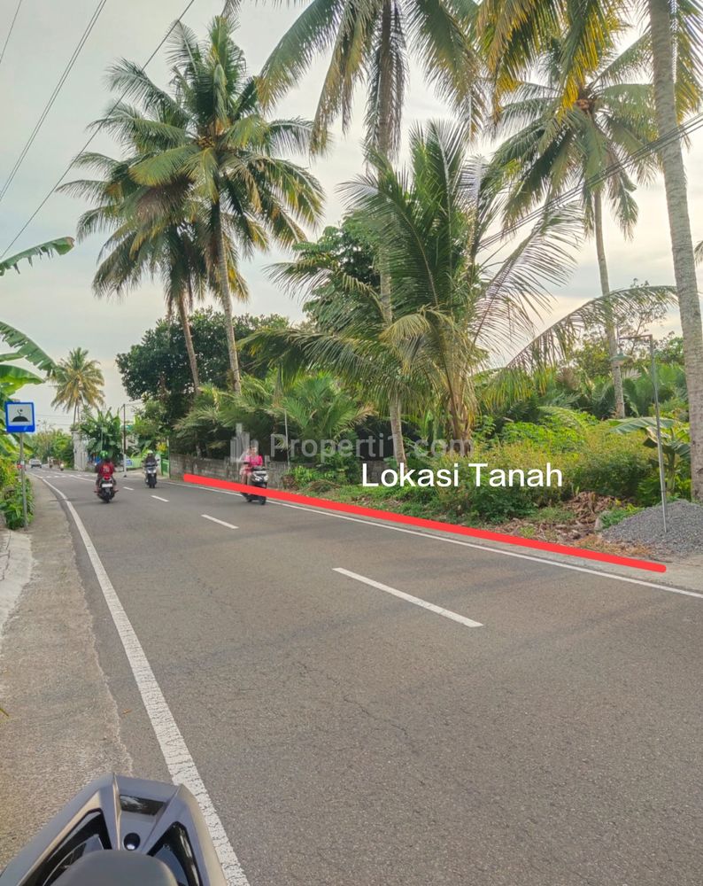 Jual Tanah Murah Strategis Pinggir Jalan Palagan Km 19 Sleman Yogyakarta