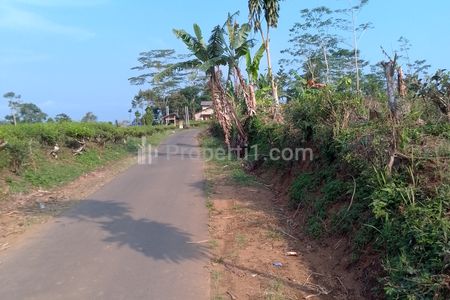 Dijual Tanah Kebun Strategis dan Produktif Pinggir Jalan Raya Tasikmalaya