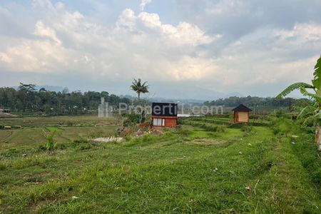 Jual Tanah Subur Luas 1.209 m² di Karangpandan Karanganyar Jawa Tengah