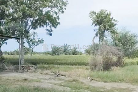 Jual Tanah 22.620 m2 di Jl. Paluh Merbau, Percut Sei Tuan, Deli Serdang, Sumatera Utara Dekat Pantai Mangrove Paluh Merbau, Taman Air Percut