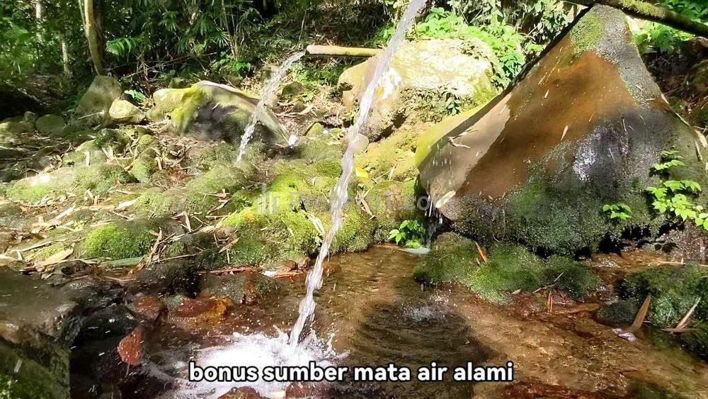 Jual Tanah Ada Mata Air Alam di Pupuan Tabanan Bali