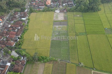 Jual Tanah View Sawah di Kelating Tabanan Bali