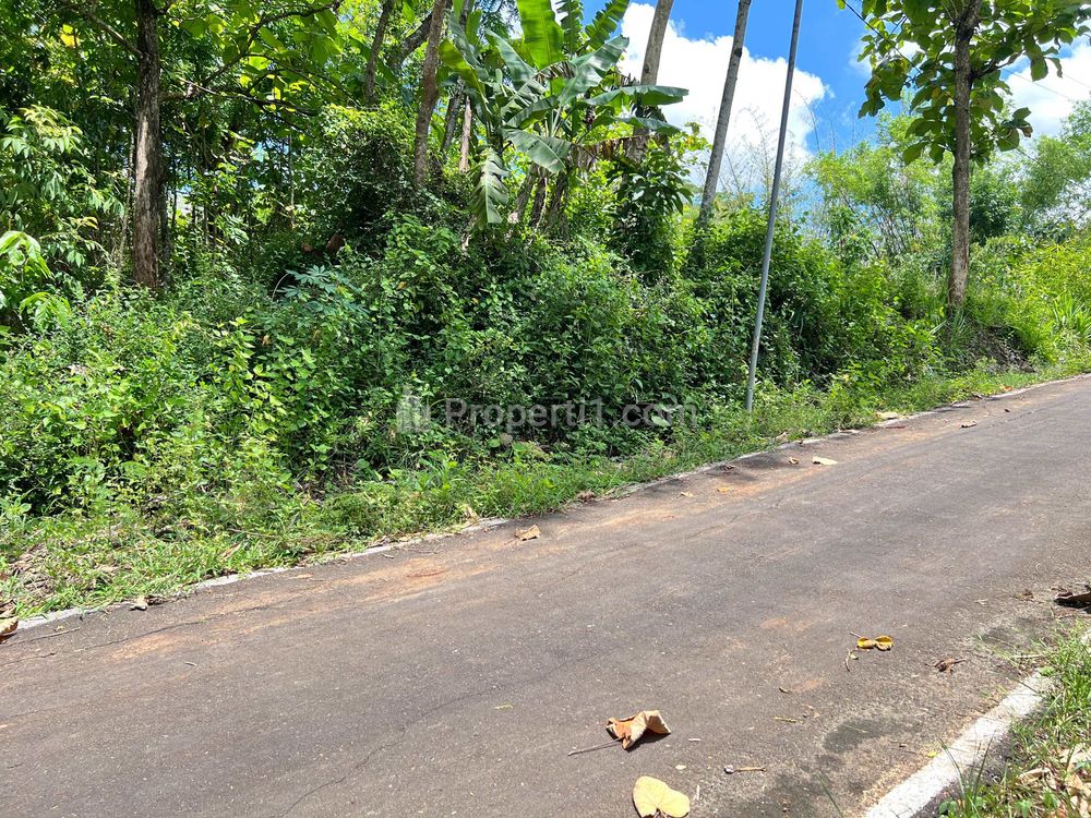 Dijual Tanah Murah 2000m² 350 Juta di Karanganyar