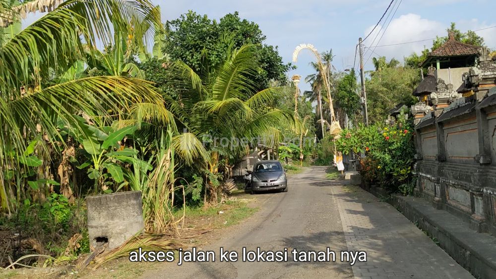 Jual Tanah View Sawah di Kelating Tabanan Bali
