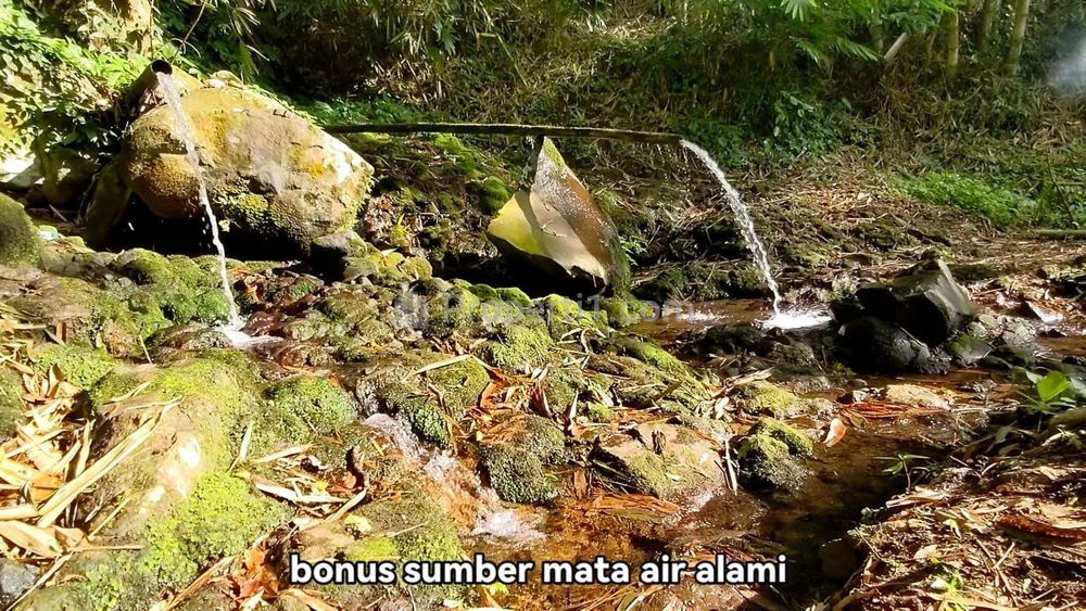 Jual Tanah Ada Mata Air Alam di Pupuan Tabanan Bali