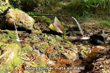 Jual Tanah Ada Mata Air Alam di Pupuan Tabanan Bali
