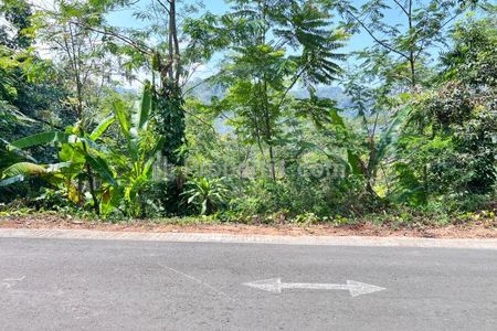 Jual Tanah Udara Dingin Luas 2000m² di Ngargoyoso, Karanganyar