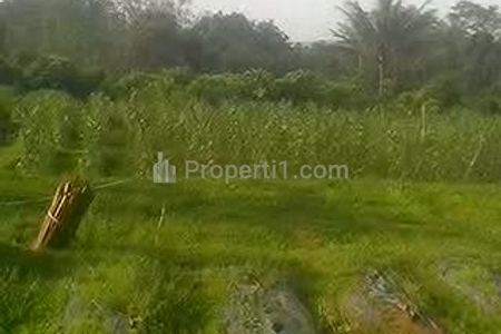 Jual Murah Tanah Kebun di Ciater Lereng Gunung Tangkubanperahu, Subang, Jawa Barat