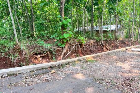 Jual Tanah Kebun Jati 500m² Harga 135 Juta di Kedawung Sragen