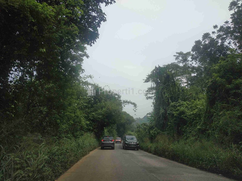 Tanah Dijual Luas 99 m2 di Rumpin Bogor Harga 1 Jutaan Per Meter
