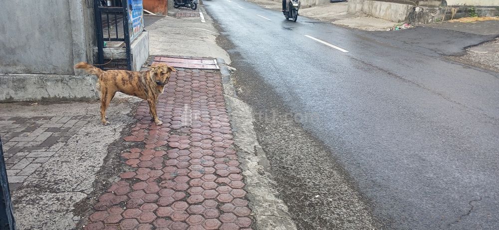 Dikontrakkan Ruko Area Jl. Ahmad Yani Utara Peguyangan Denpasar Bali